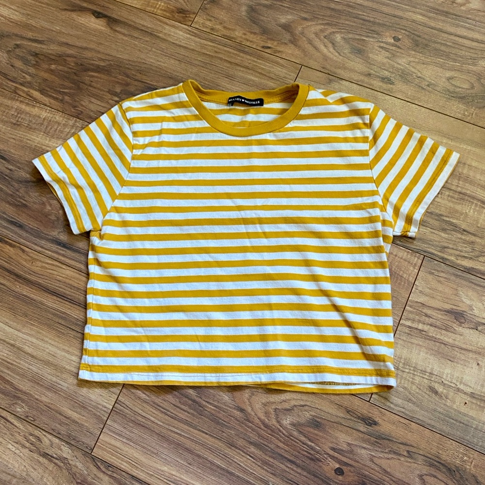 Brandy Melville stripped crop tee